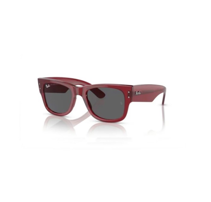 GAFA DE SOL RB0840S 6679B1