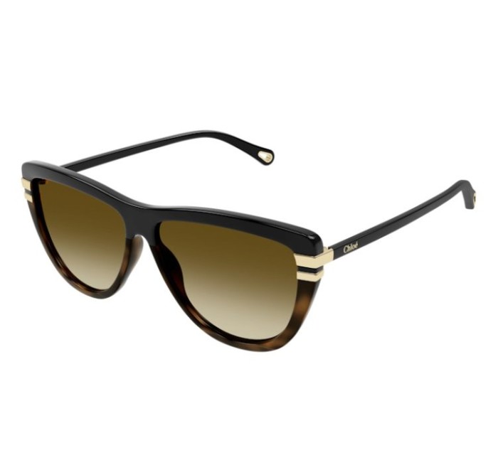 GAFA SOL CHLOE CH0203S 003